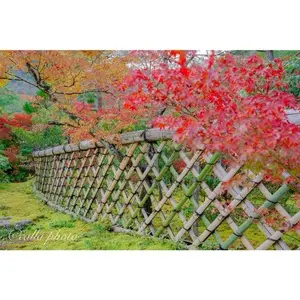 光悦寺