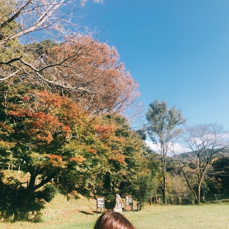 yu_06さんが投稿した長篠城址に関する口コミの画像