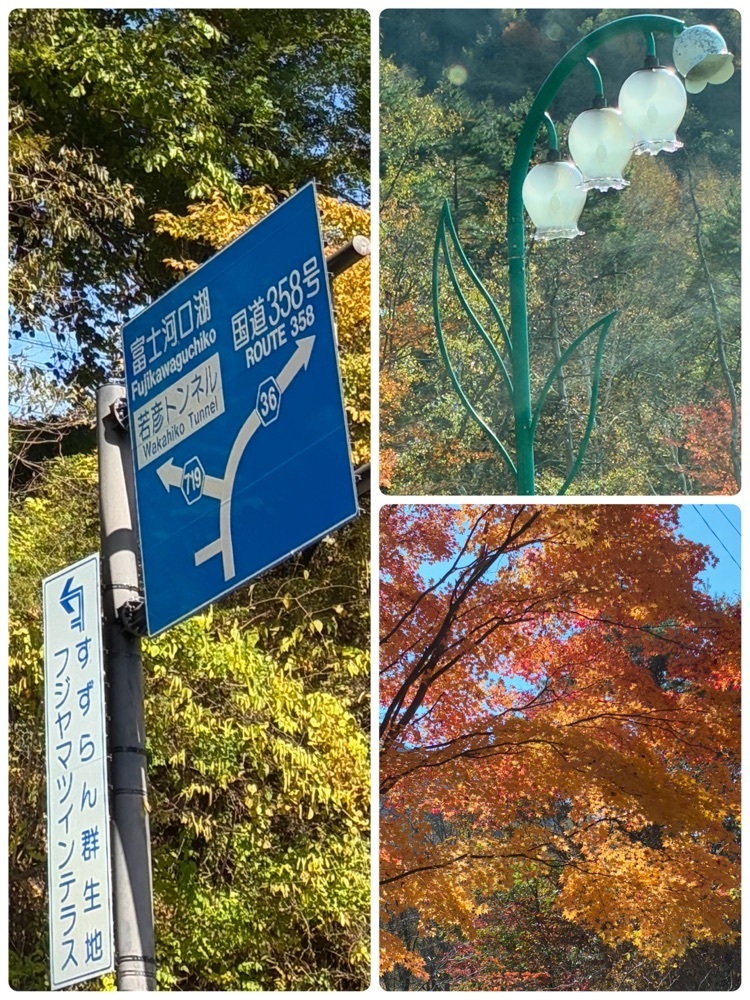 deriさんが投稿した芦川農産物直売所 おごっそう家に関する口コミの画像