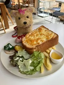 原村CAFE