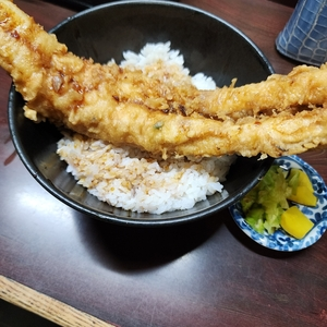 木村家