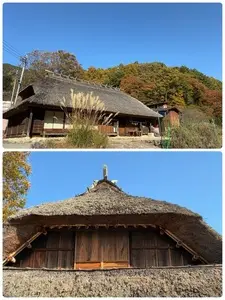 芦川の里山