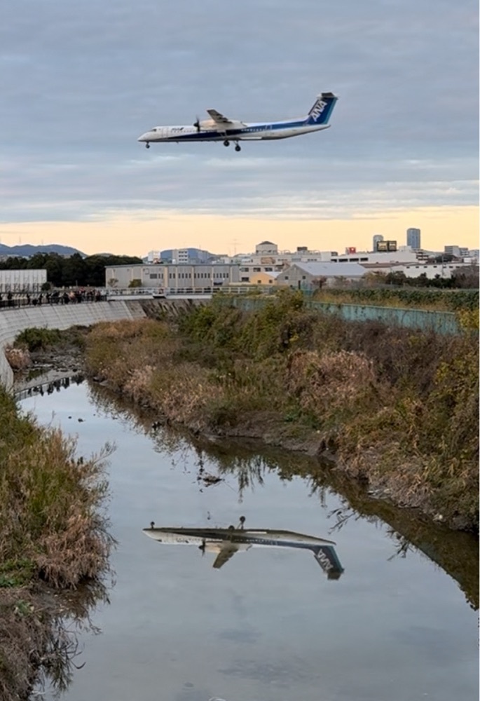 ぺたこ♡さんが投稿した丸福珈琲店 伊丹空港店に関する口コミの画像