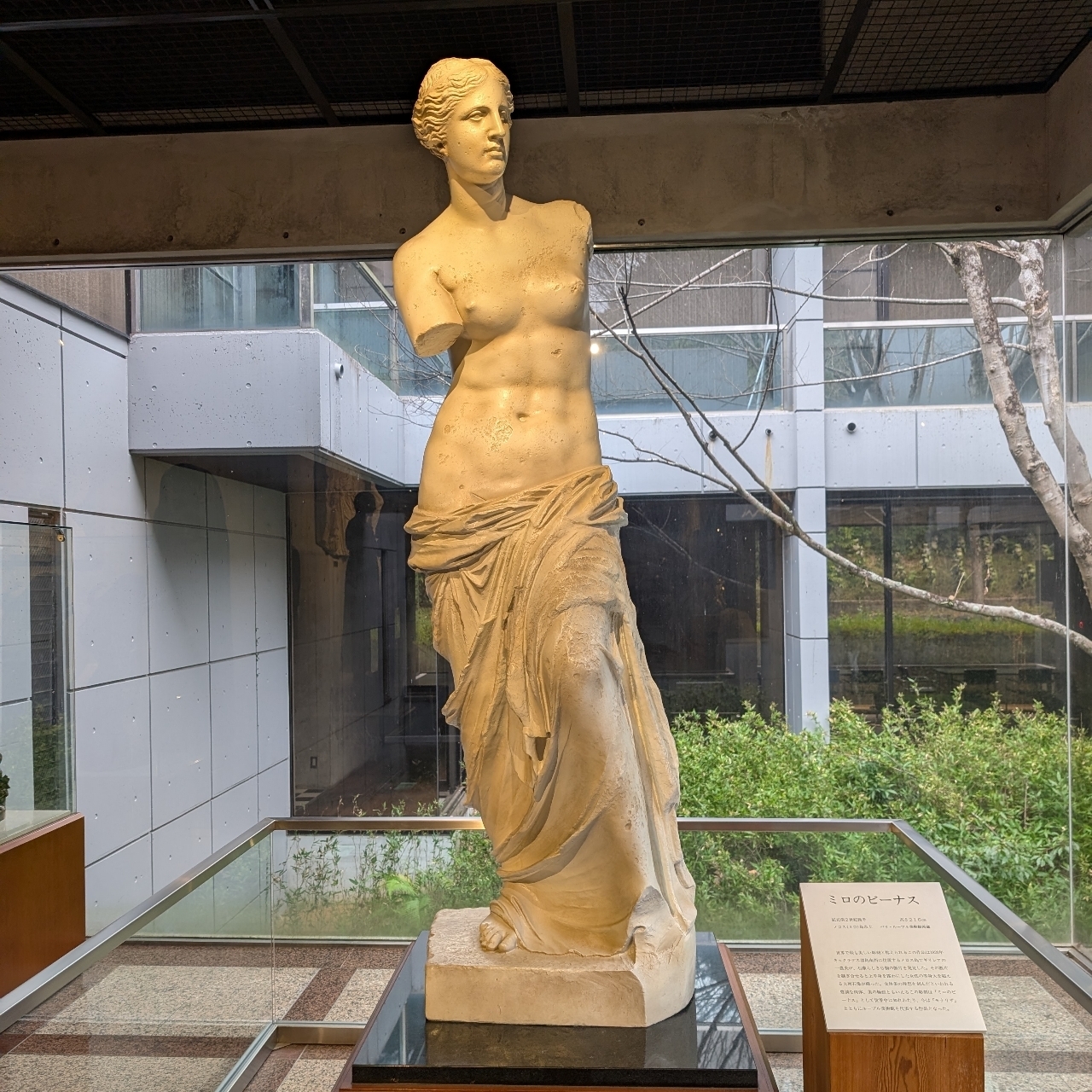 ぬっくさんが投稿したルーブル彫刻美術館に関する口コミの画像