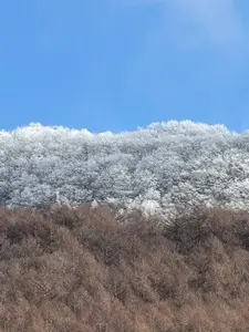 レストランれむの巣