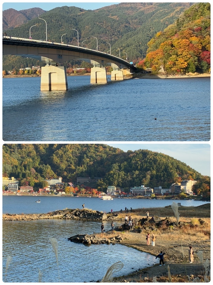 deriさんが投稿した大池公園に関する口コミの画像