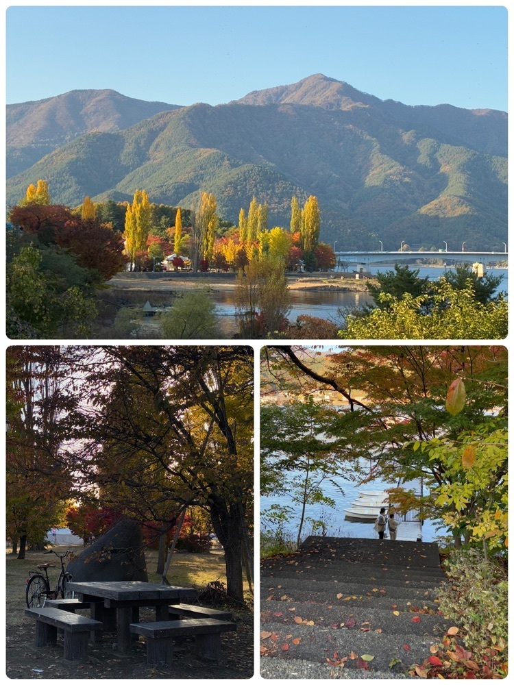 deriさんが投稿した大池公園に関する口コミの画像