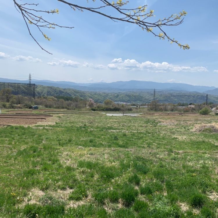 yoshi47さんが投稿した自然の恵みそばと、カフェ 凱（Toki）に関する口コミの画像