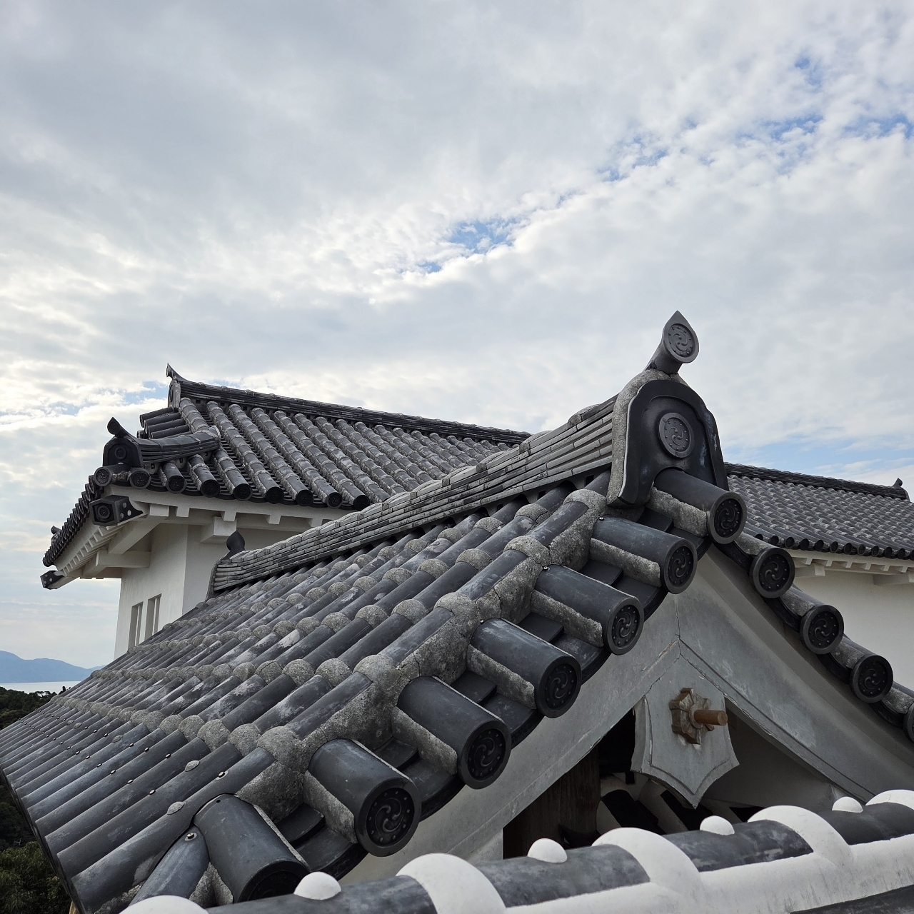 ばらっちゃんさんが投稿した富岡城（富岡ビジターセンター）に関する口コミの画像