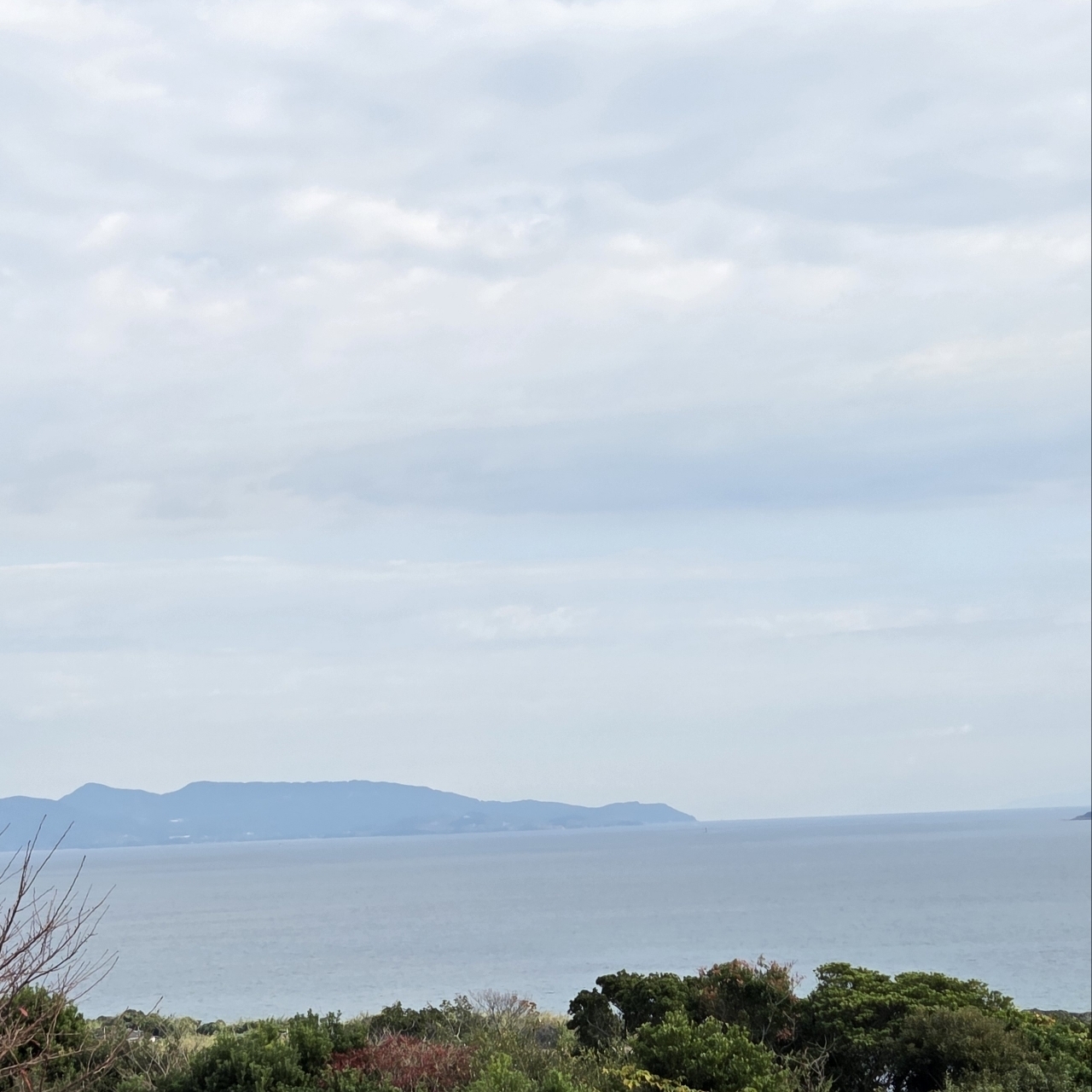 ばらっちゃんさんが投稿した富岡城（富岡ビジターセンター）に関する口コミの画像