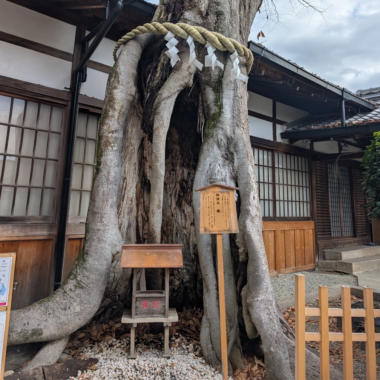 ぬっくさんが投稿した三輪山会館に関する口コミの画像