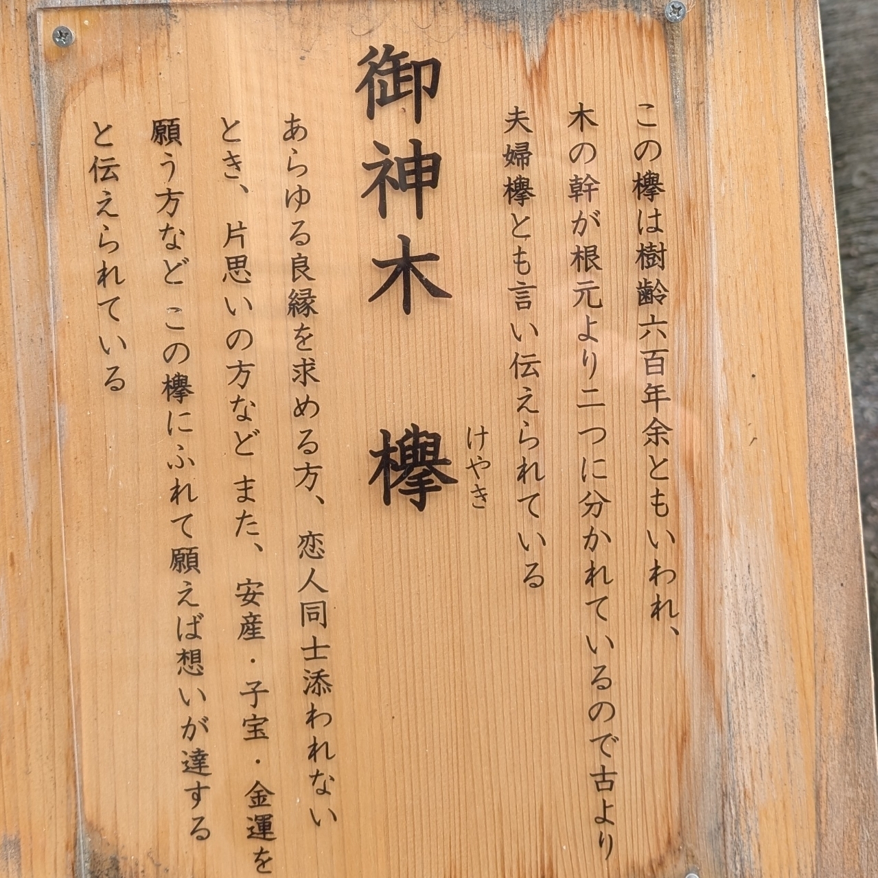 ぬっくさんが投稿した三輪山会館に関する口コミの画像