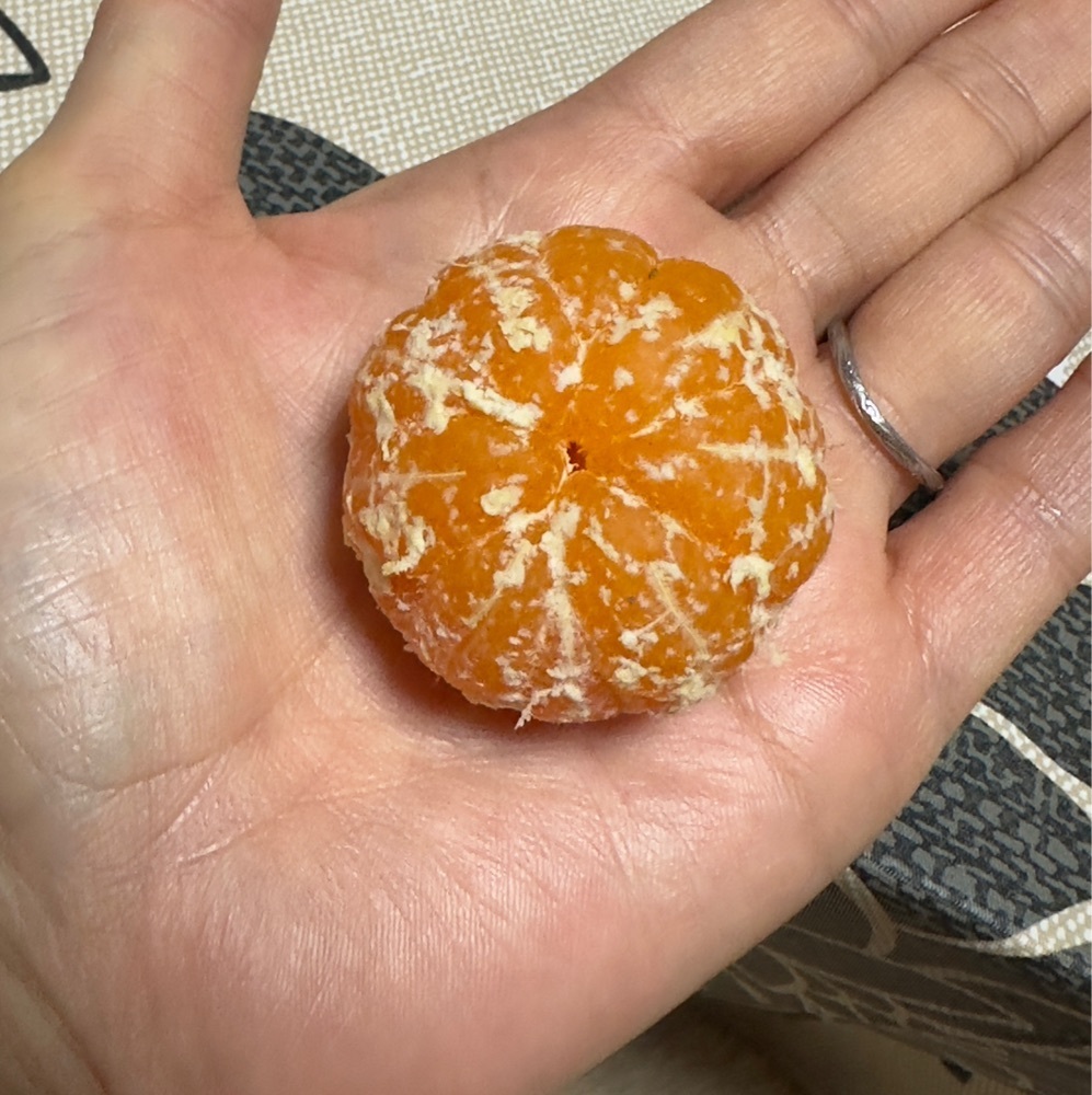 かめ_メグミさんが投稿した551蓬莱 大阪空港南ターミナル店（伊丹）（ゴーゴーイチホウライ）に関する口コミの画像