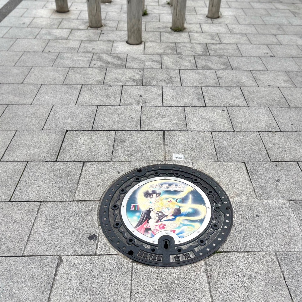 risa888さんが投稿した東京メトロ南北線 麻布十番駅に関する口コミの画像
