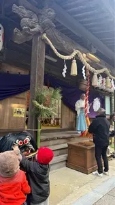志度