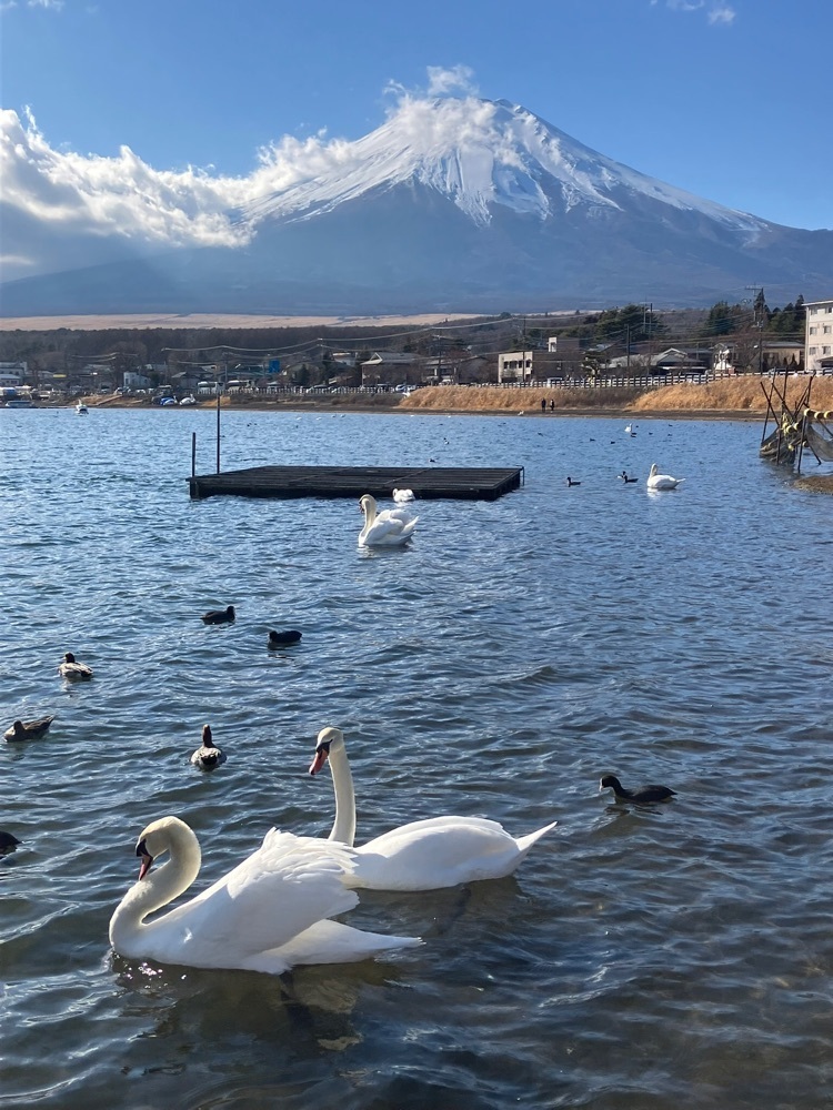 Nさんが投稿したFISHING HOUSE なぎさに関する口コミの画像