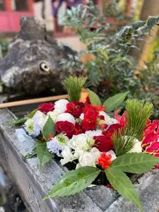 本郷氷川神社