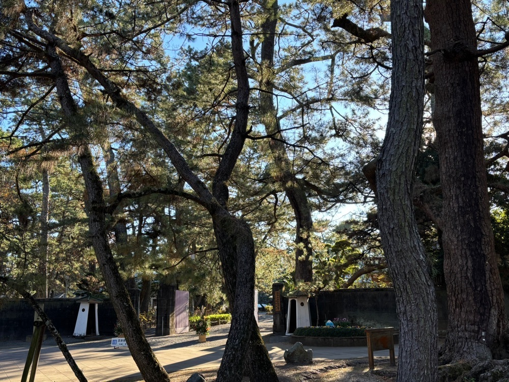 ぱっつんさんが投稿した沼津御用邸記念公園に関する口コミの画像