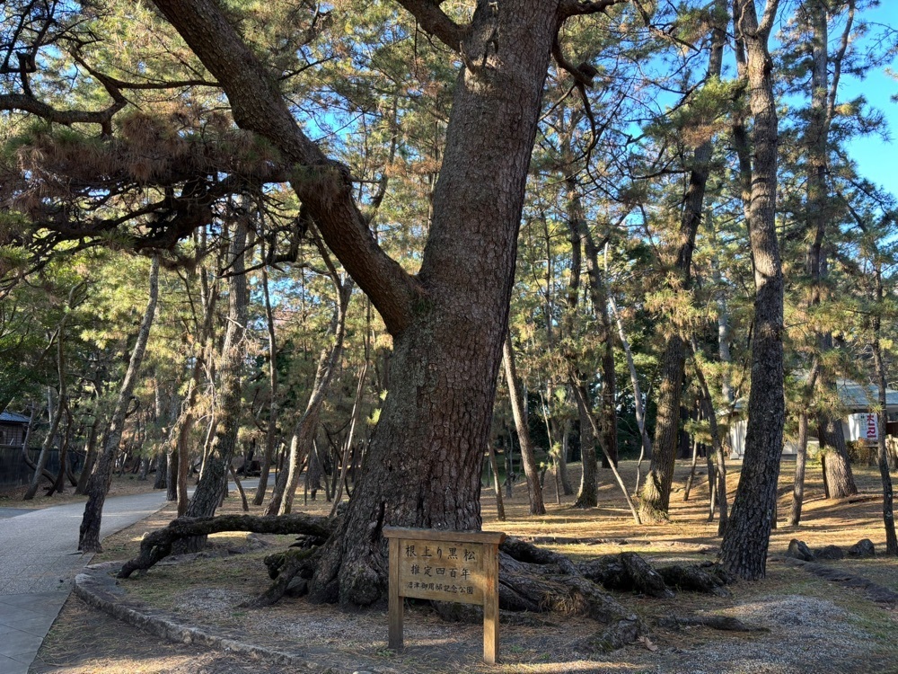 ぱっつんさんが投稿した沼津御用邸記念公園に関する口コミの画像