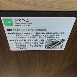 相模川ふれあい科学館 アクアリウムさがみはら