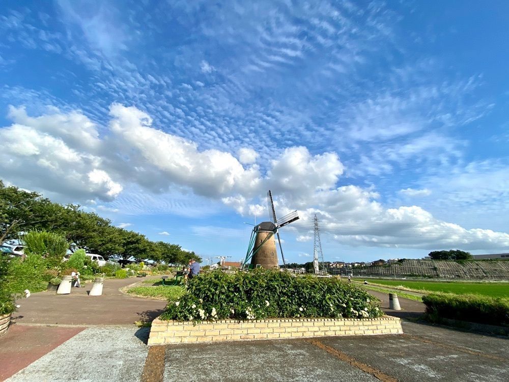 Satoshi.Nさんが投稿したマルシェかしまに関する口コミの画像