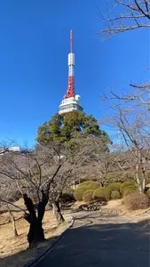 蒲生神社 3枚目