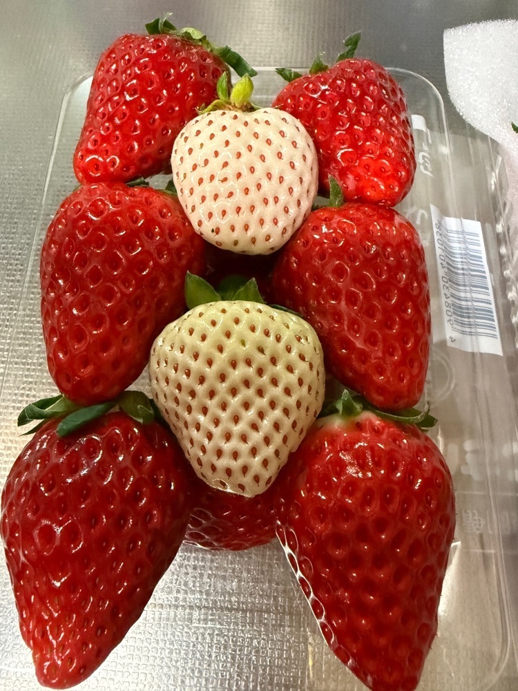 hirokororinさんが投稿した早川農園に関する口コミの画像