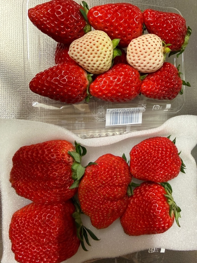 hirokororinさんが投稿した早川農園に関する口コミの画像