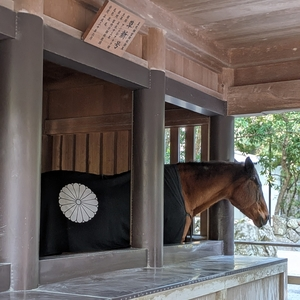 皇大神宮