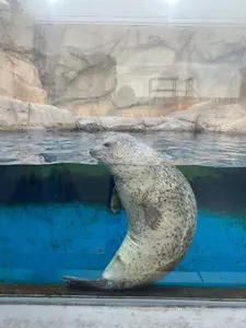 うみの杜水族館 ウミモリショップ（うみの杜水族館 umimori shop）