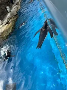 うみの杜水族館 ウミモリショップ（うみの杜水族館 umimori shop）