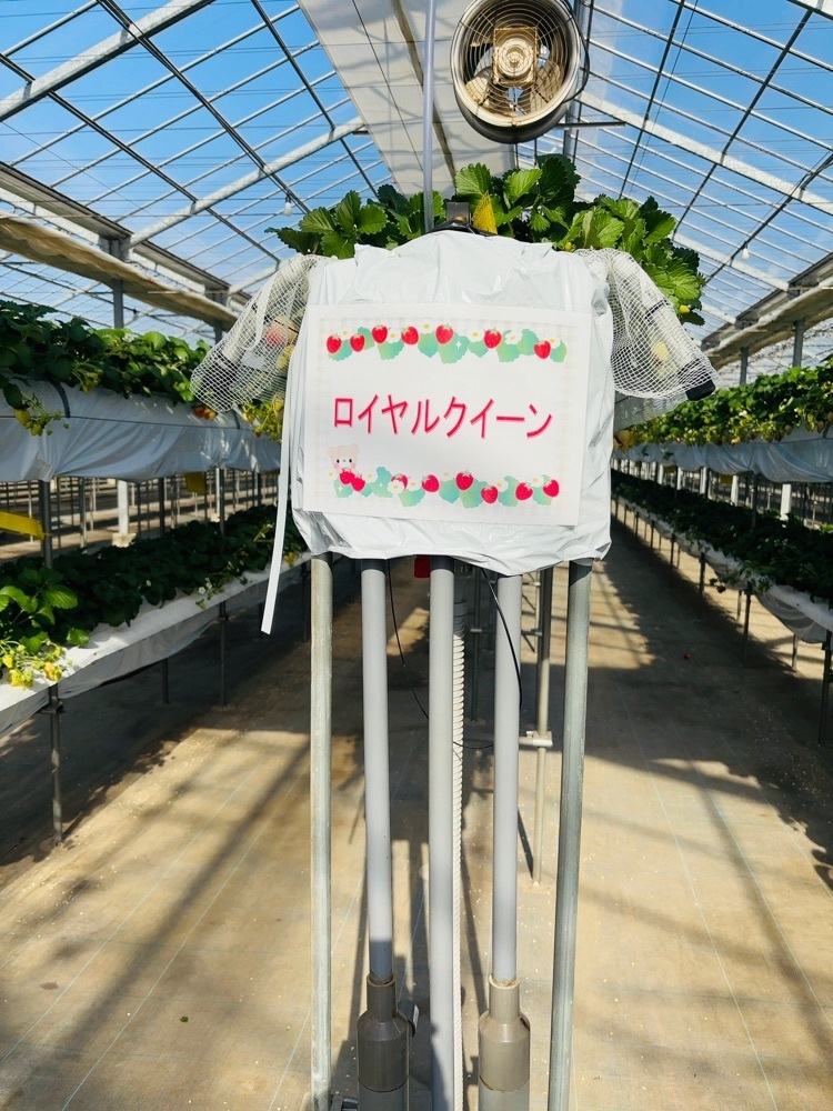 mariさんが投稿したMori's Farmに関する口コミの画像