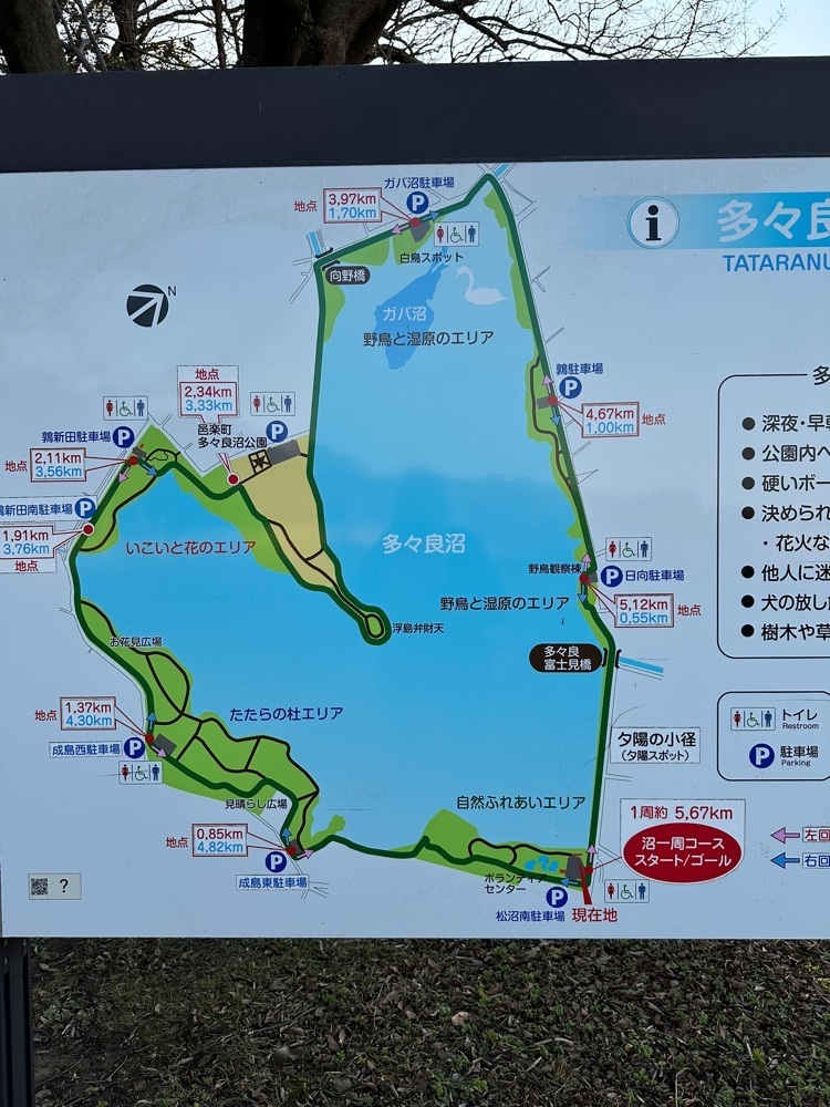 からっ風②さんが投稿した多々良沼公園に関する口コミの画像