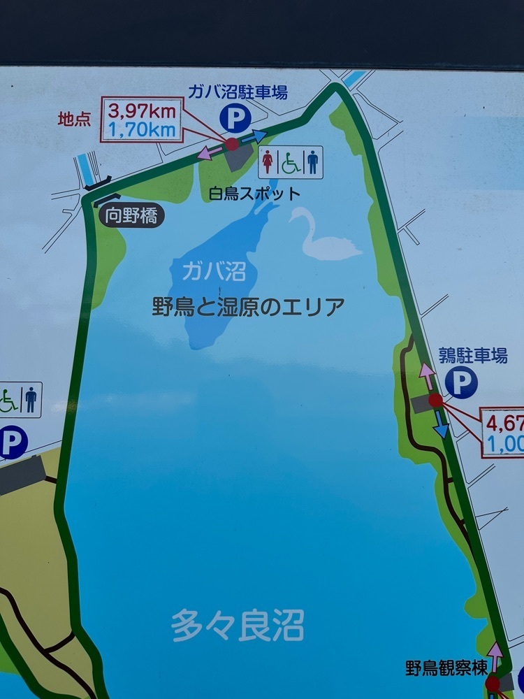 からっ風②さんが投稿した多々良沼公園に関する口コミの画像
