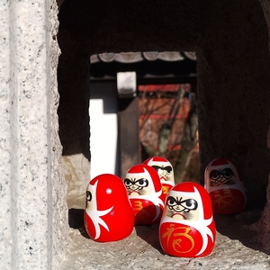 大光普照寺（金鑚大師）