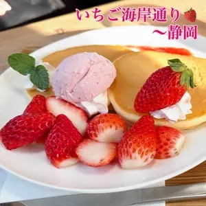 久能海岸