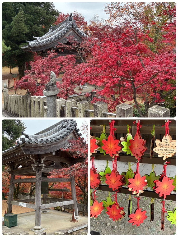 deriさんが投稿した寂光院の紅葉に関する口コミの画像