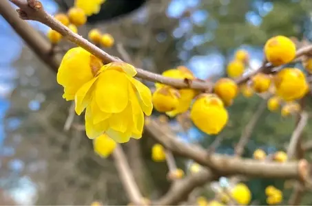学問の神様天満宮
