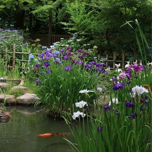 縮景園