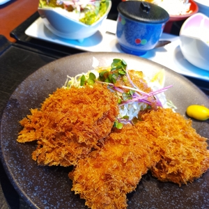 徳樹庵 藤岡店