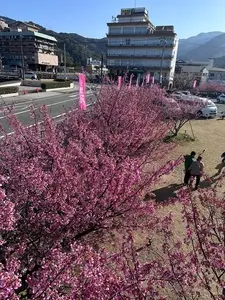 松原公園（静岡県伊豆市）