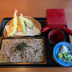 神蔵