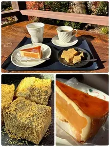 堅香子（カタカゴ）