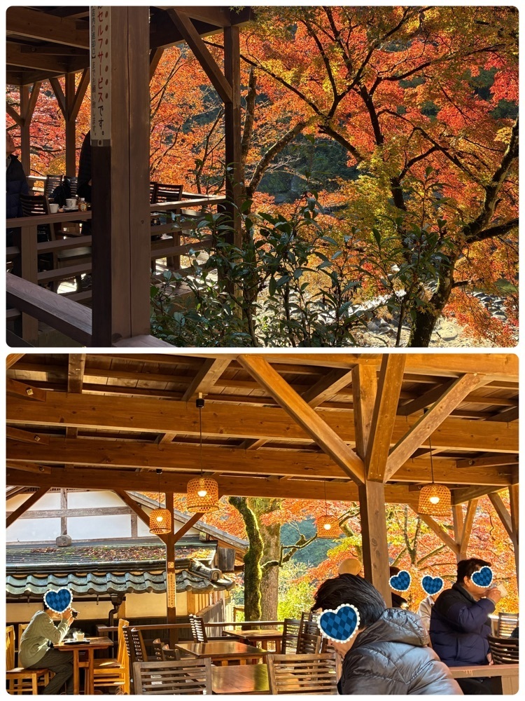 deriさんが投稿した堅香子（カタカゴ）に関する口コミの画像