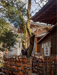 施設画像