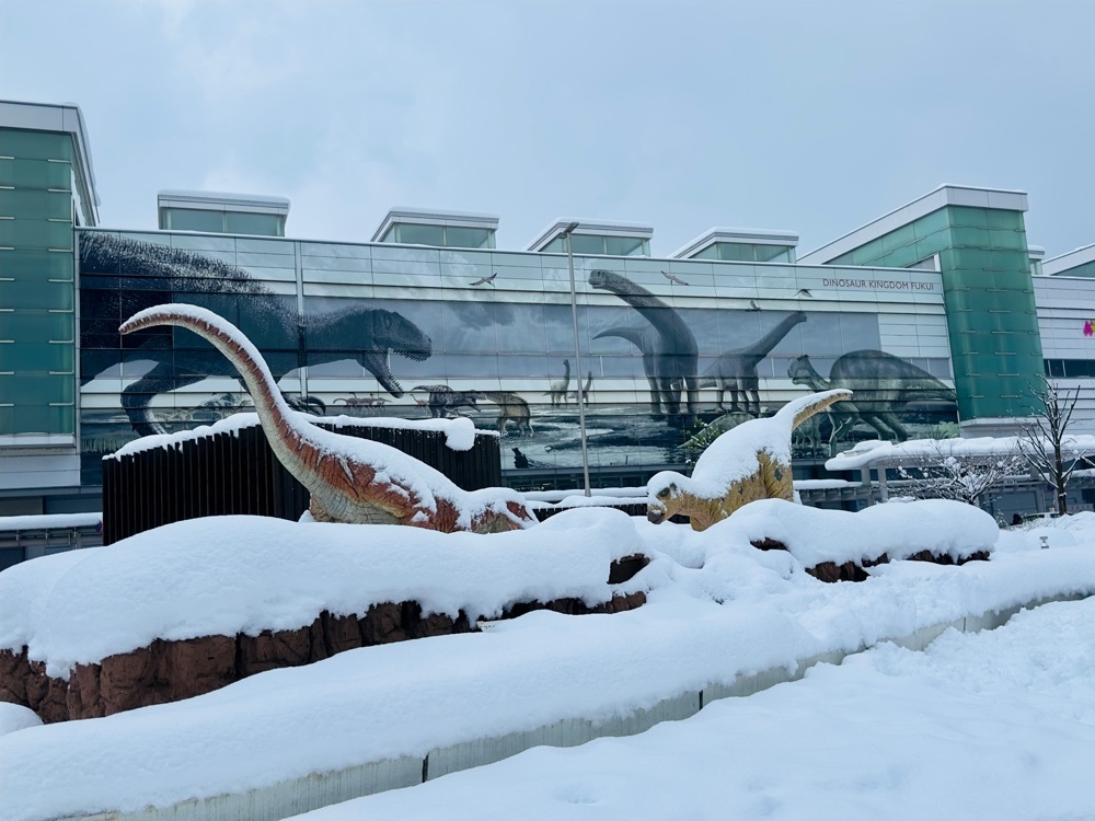 かめ_メグミさんが投稿した福井駅「恐竜広場」に関する口コミの画像
