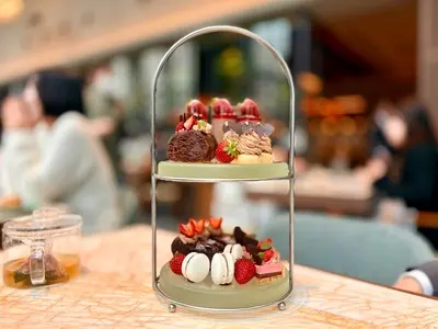 MAISON VERTE(メゾンヴェルテ)