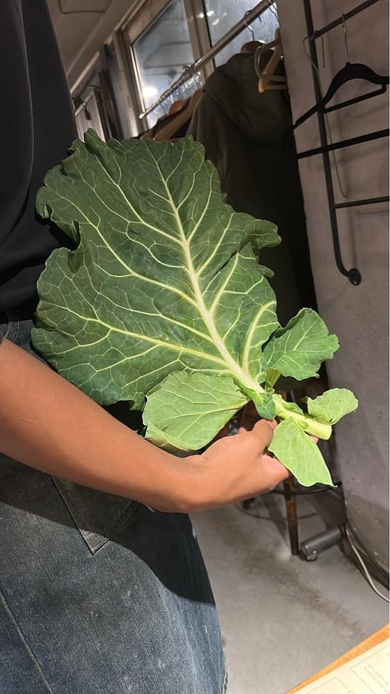 Rei Ouchiさんが投稿したWE ARE THE FARM 渋谷店に関する口コミの画像