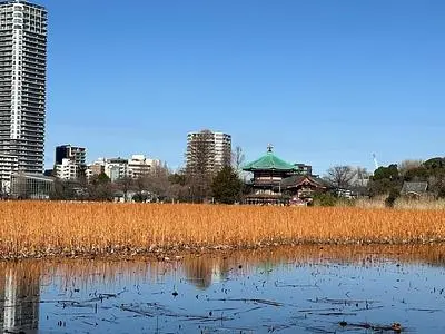 上野公園