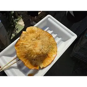 湯布院shiitakemonster（ユフインシイタケモンスター）